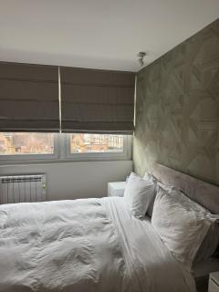 3 Bedroom Apartment in Chelsea - London - 5