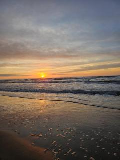 Vila Vilma - Kunigiškės - Palanga - 8
