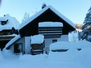 Ferienhaus Isele - Feldberg - 5