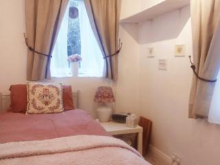 Centrel to london single bed room quiet home with host and breakfast - Londra - 8