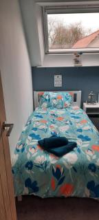 Bluebell Cottage - Aberporth - 1