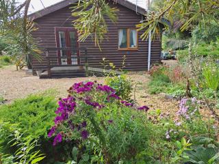 Nuthatch Lodge - King's Lynn - 9