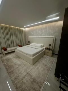 Modern Room Apartment and Luxury Lounge - Riyad - 4