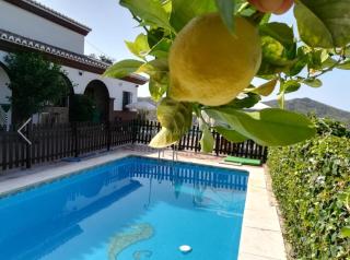 Casa Rural Los Hidalgos - Totalán - 6