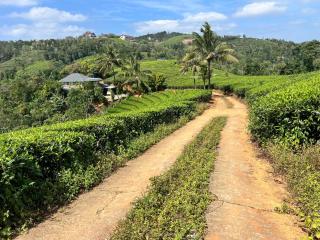 Tea Harmony Bunglow - Vagamon - 4