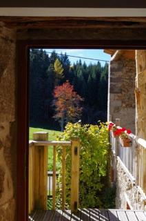 gîte le Val d'Ance - Usson-en-Forez - 8