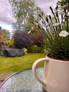 Cosy, hidden cottage near the Peaks - Hyde - 9