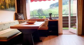 Schwarzwaldträumchen, Südbalkon, Hallenbad, TG - Baiersbronn - 7