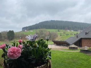 Schwarzwaldträumchen, Südbalkon, Hallenbad, TG - Baiersbronn - 3