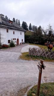 Augihütte - Abtenau - 2