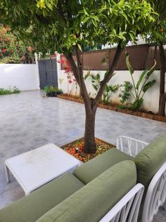 Spacious Apartment Modern - 1