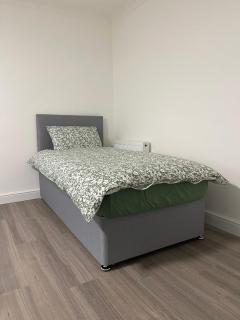 Brighton Green Rose - Brighton & Hove - 4