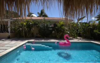 Villa Dushi Arembos, 6 persons, private pool, comfortable car, tropical garden - 4