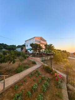 Plavi Horizont - 2