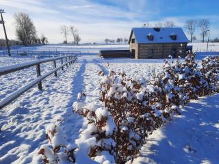 Ô Temps Joyeux - Bermonville - 5
