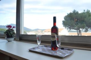 Appart 3 pièces 4 couchages BANYULS SUR MER BN100-C502 - 2