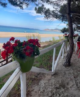 La casa di Antovan - Girasole - 7