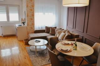 PLAN Superior Apartment Niš, centar, FREE parking - Niš - 9