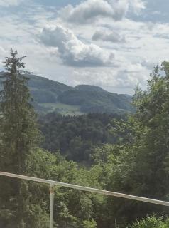 Holidayapartement Sentjur 2 pers - Šentjur - 4
