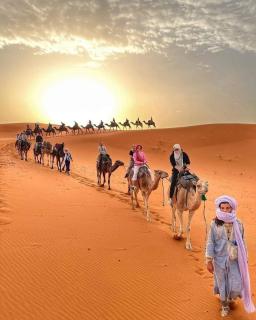 Original Desert Camp - Merzouga - 4
