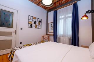 High Ceiling Stylish Apartment - Istanbul - 6