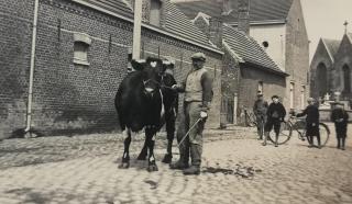 Huyze Basco - Poperinge - 4