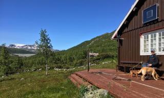 Einsetlie by Norgesbooking - cabin by Hallingskarvet - Hol - 0