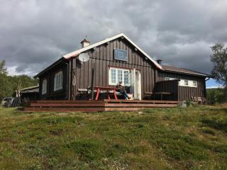 Einsetlie by Norgesbooking - cabin by Hallingskarvet - Hol - 9