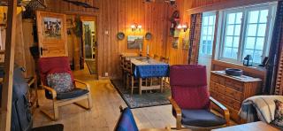 Einsetlie by Norgesbooking - cabin by Hallingskarvet - Hol - 7