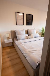 Central apartment near Basel - Buisness&Holiday - Rheinfelden - 9
