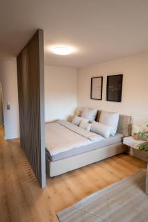 Central Apartment near Basel - Buisness&Holiday - 6