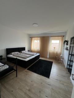 Ferienwohnung Ottweiler - Ottweiler - 4