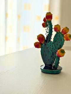 Nausicaa Beach and Town - 0