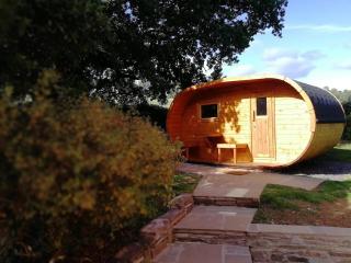 The Old Vicarage with hot tub & sauna - Vowchurch - 8