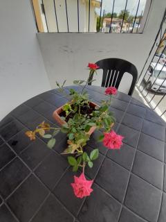 suite Nata Hospeda - Porto Seguro - 7