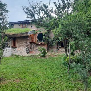 Arte mutante - casa para 6 - 2