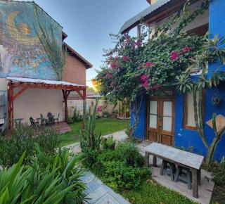 Nido, Los Colibríes VI - 0