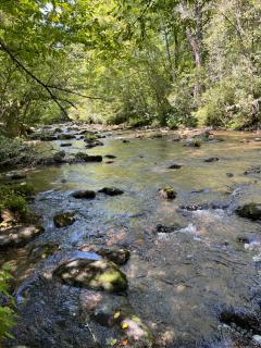 Twin Oaks - Bryson City - 2