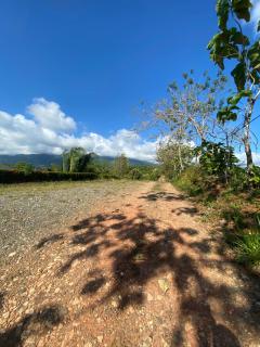 Valles of Osa - Palmar Sur - 1