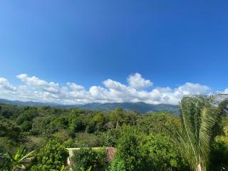 Valles of Osa - Palmar Sur - 2