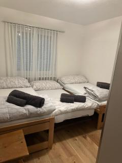 Haus Pramalinis - Davos - 3