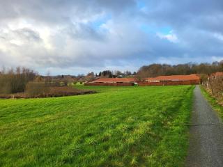 Johanna 's have - Faaborg - 6