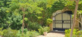Cosy apartment in a family house - Sheikh Zayed - 7
