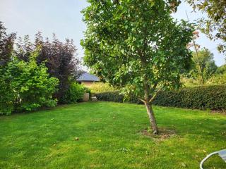 Johanna 's have - Faaborg - 5