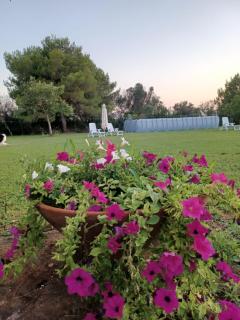 Villa Irene - Lido Marini - 2