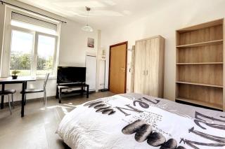 Huningoise Studio 2 Pers Proche Bale Parking Prive - 4