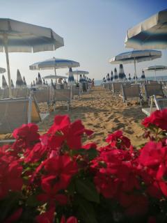 APPARTAMENTO BLU -OVER THE RAINBOW APARTMENTS - LIDO di JESOLO - Lido di Jesolo - 2
