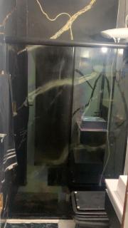 Apt em bairro nobre - 3