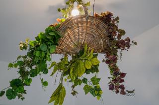CLavi Apartament - Sassari - 1