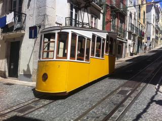 Duarte Belo Bica 3 Rooms - Lisbon - 3